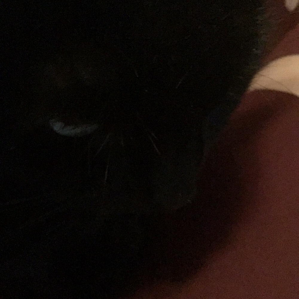 Meet your Posher, Audrey